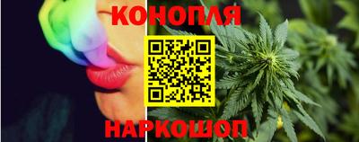 бошки Дубна