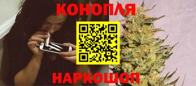бошки Дубна