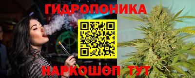 бошки Дубна