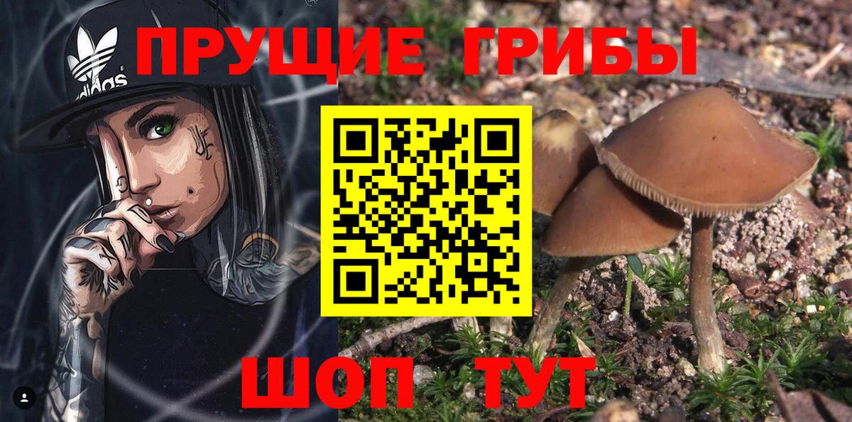 Галлюциногенные грибы прущие грибы Ханты-Мансийск